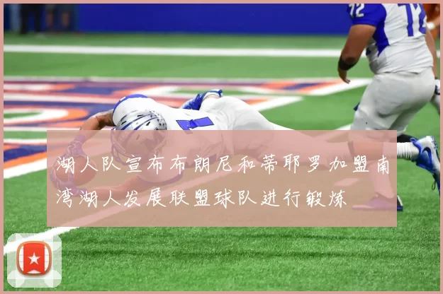 湖人队宣布布朗尼和蒂耶罗加盟南湾湖人发展联盟球队进行锻炼
